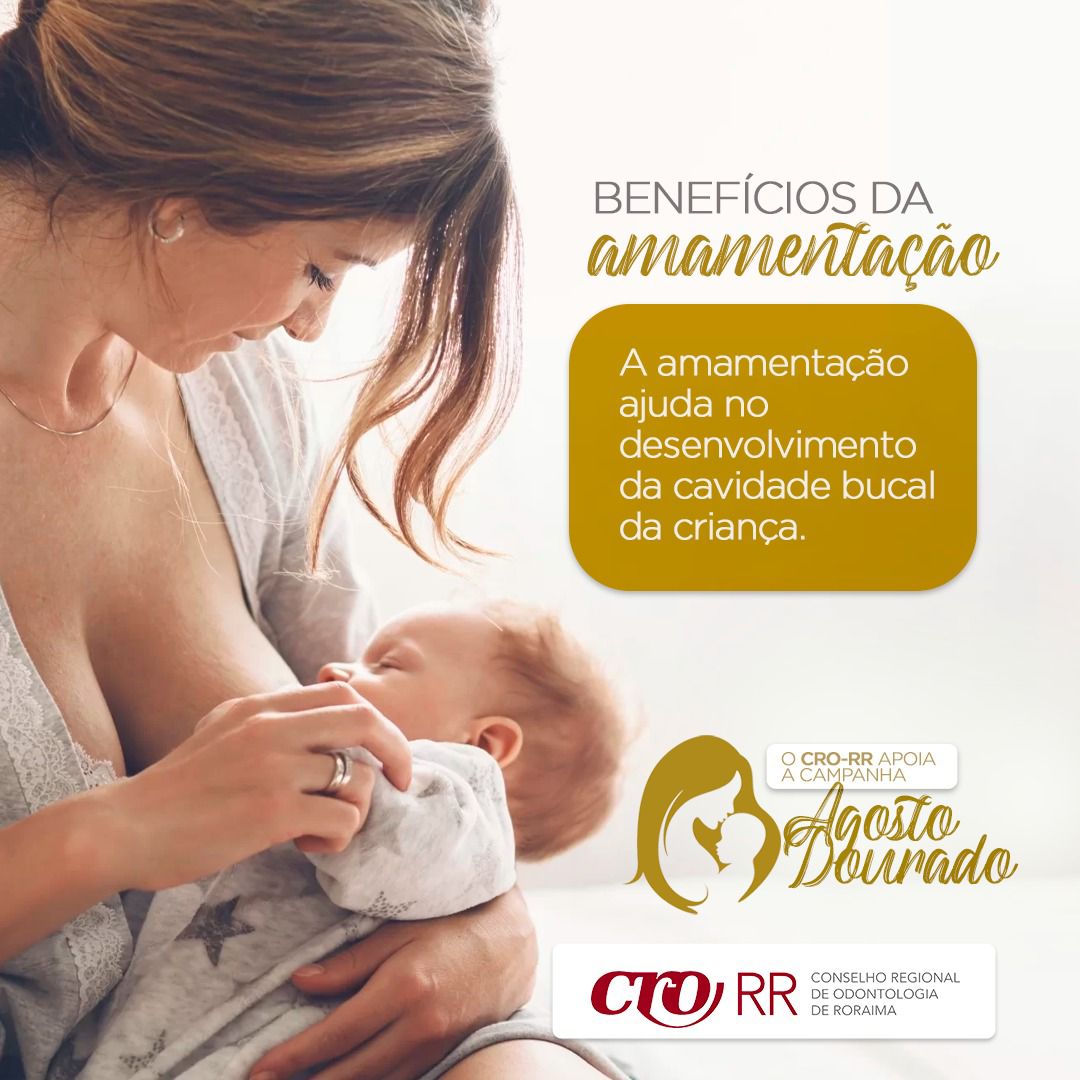 agosto dourado02